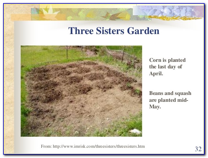 3 Sisters Planting Layout