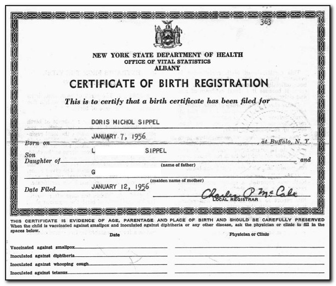 Bronx Ny Birth Certificate Request