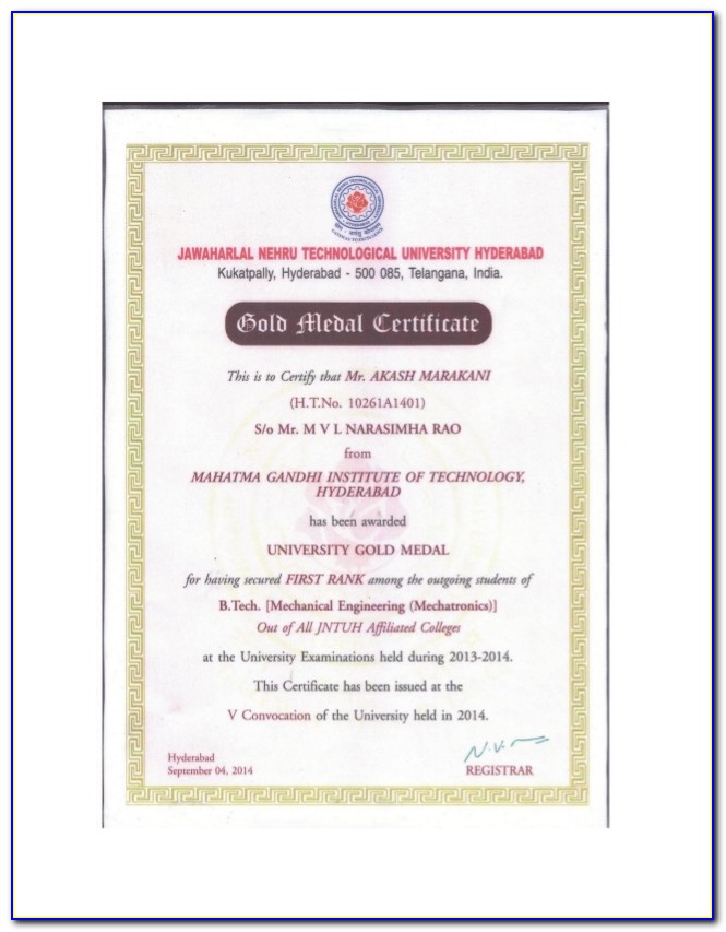 Golden Plunger Award Certificate