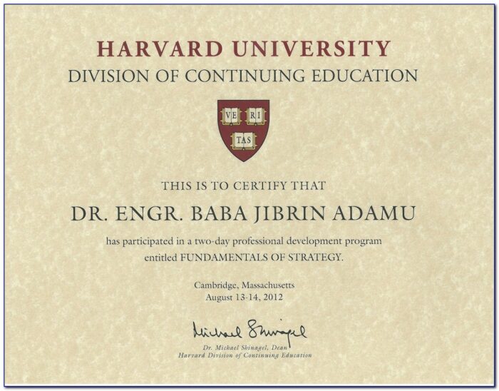 Harvard Business School Executive Certificate