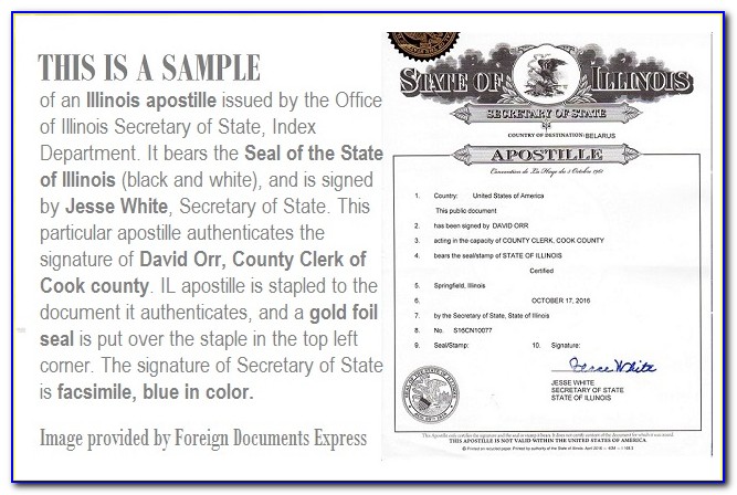 Illinois Secretary Of State Apostille Birth Certificate