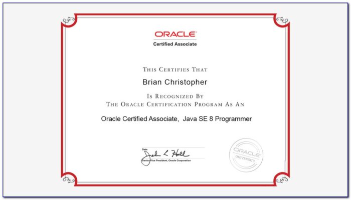 Java Certification Oca (1z0 808) Practice Test