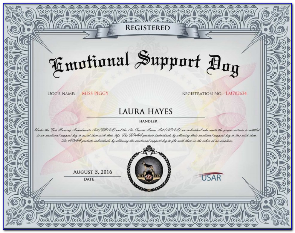 Legitimate Emotional Support Dog Certification