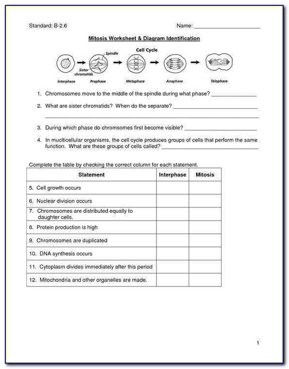 Mitosis Worksheet And Diagram Identification Answer Sheet