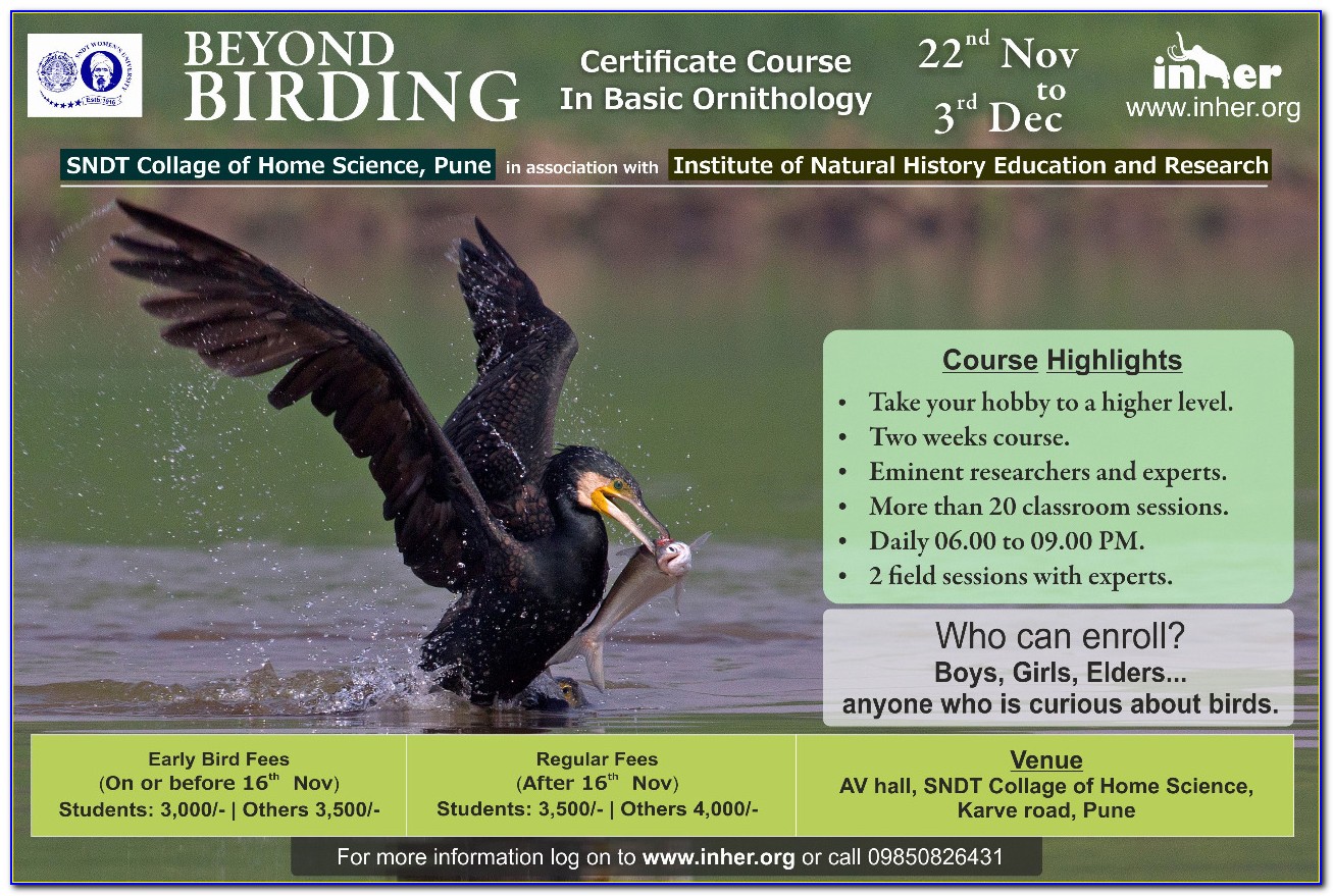 Ornithology Certificate Program