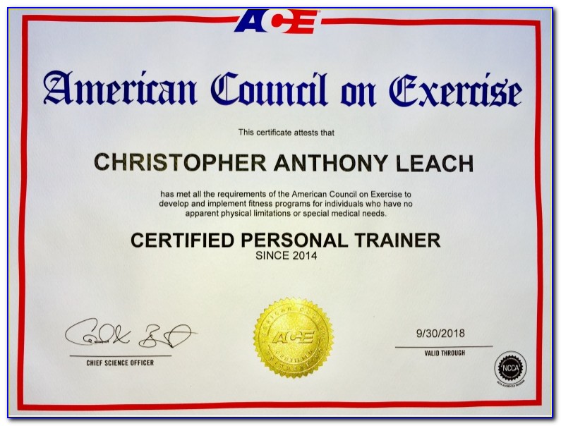 Personal Trainer Certification Tennessee