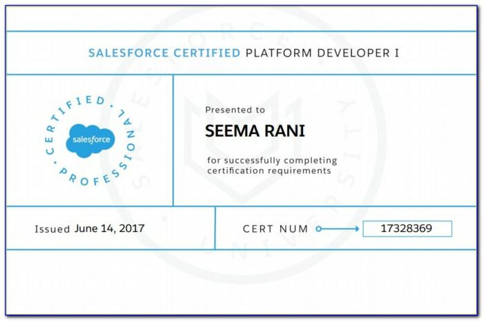 Salesforce Pd1 Certification Dumps