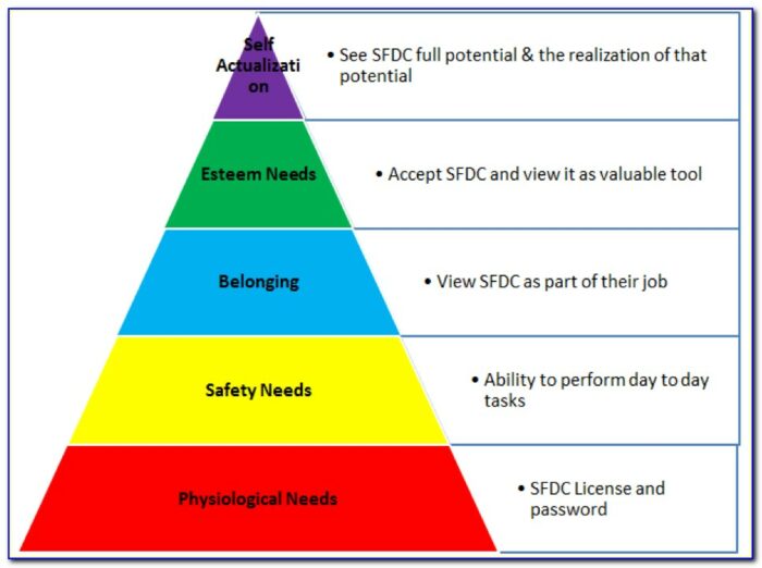 Salesforce Training Pyramid