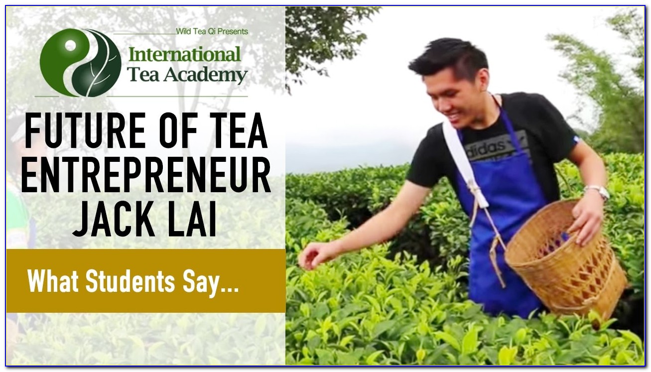 Tea Sommelier Certification Usa