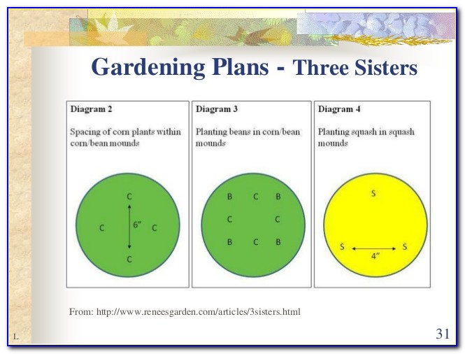 Three Sisters Planting Design