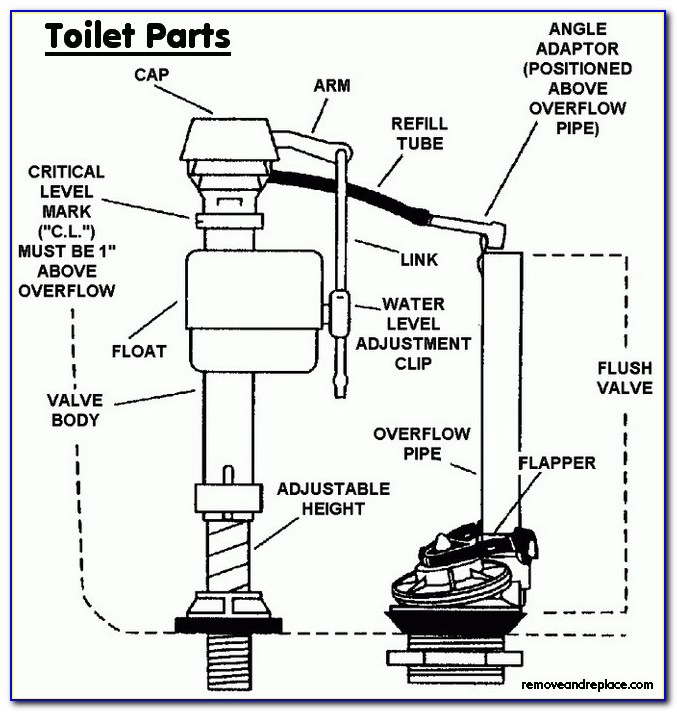 Toilet Tank Installation Diagram