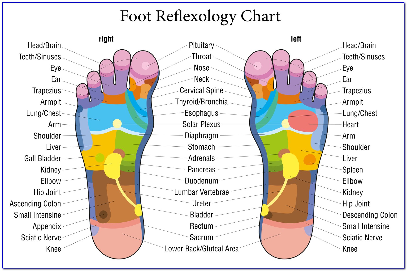Underneath Foot Diagram