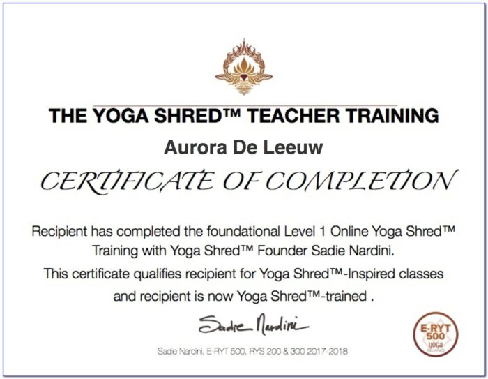 Yoga Shred Certification