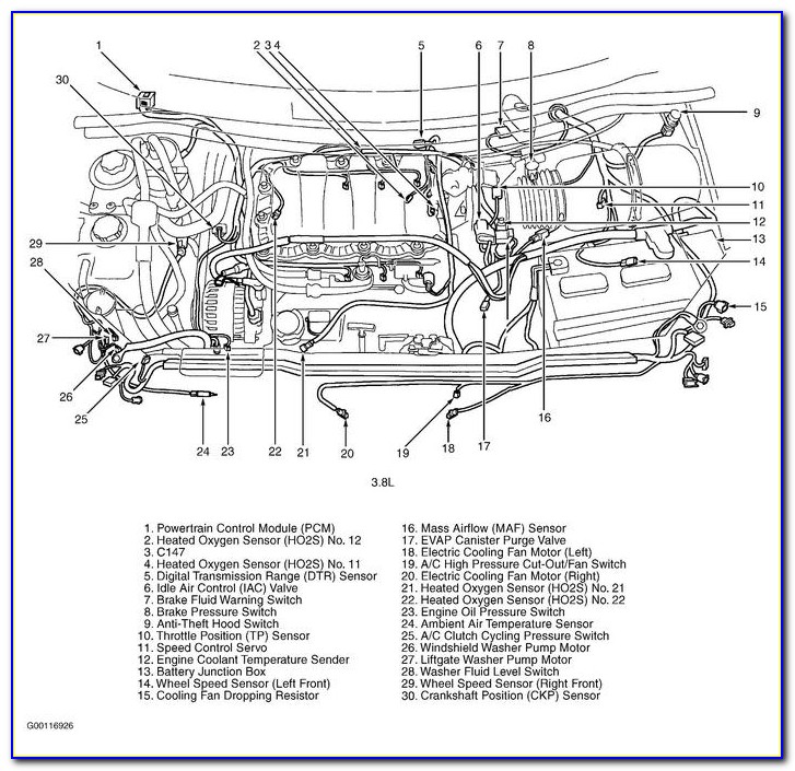 1999 Ford Windstar Heater Hose Diagram