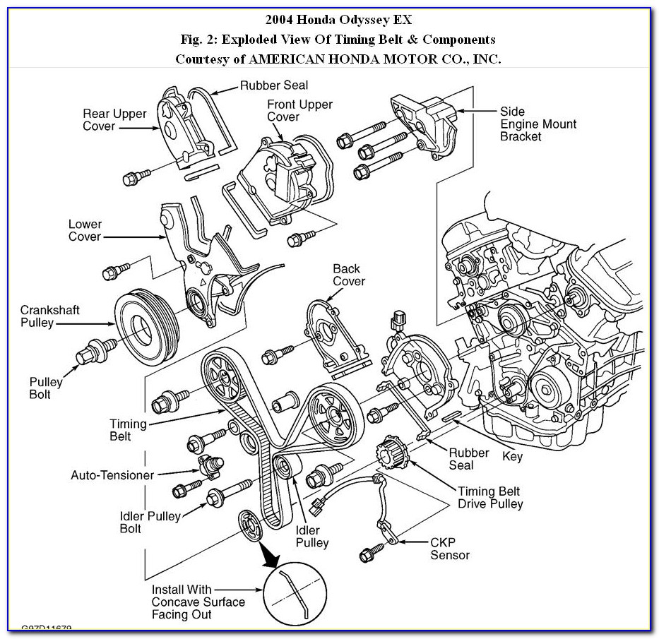 2007 Honda Accord Pulley Diagram
