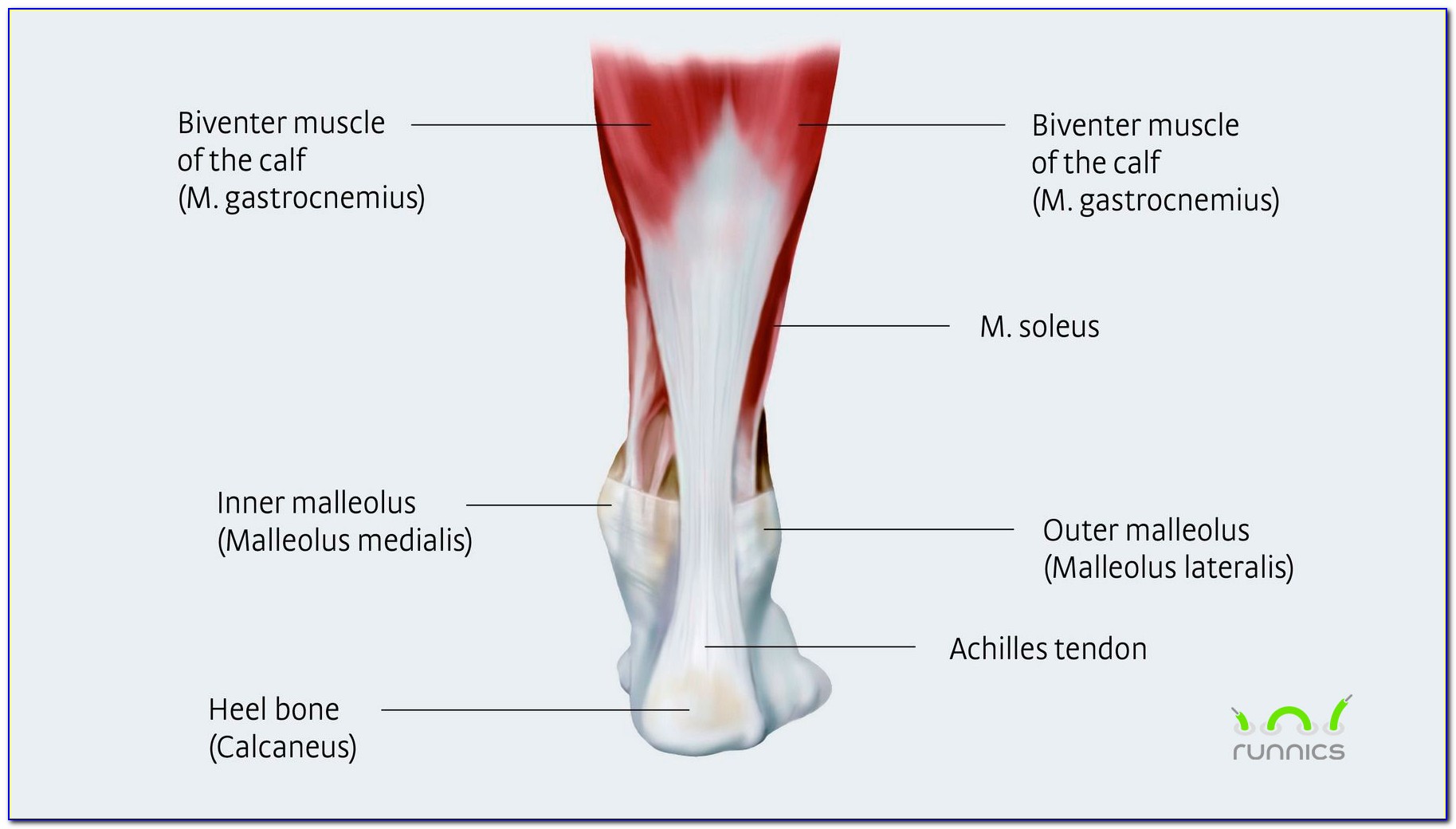 Achilles Tendon Pain Diagram