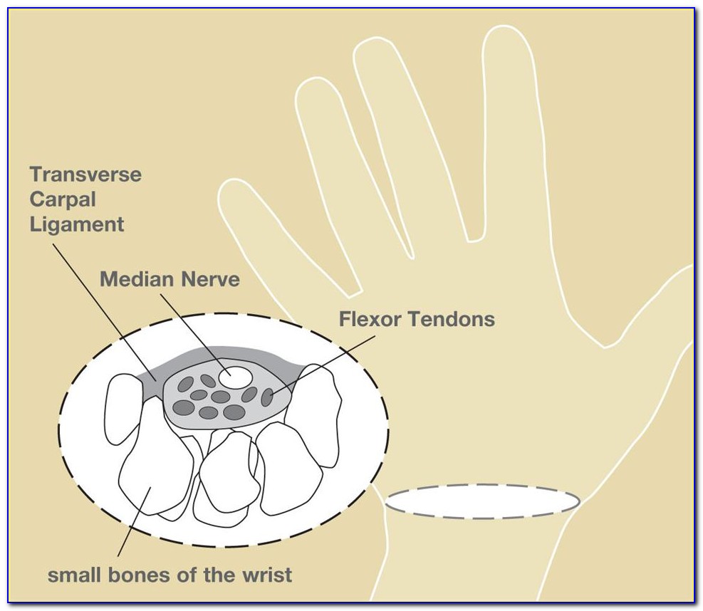 Carpal Tunnel Nerve Diagram