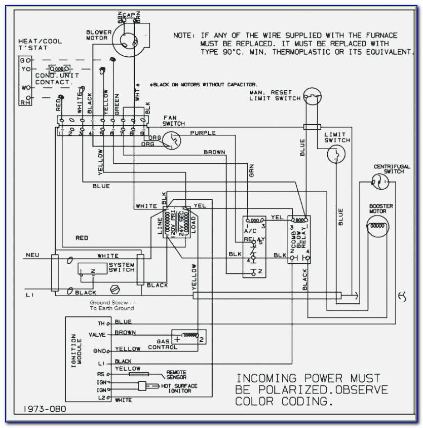 Coyote Control Pack Wiring Diagram