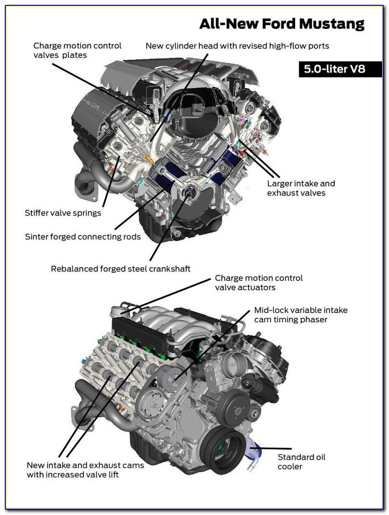 Coyote Engine Harness Diagram