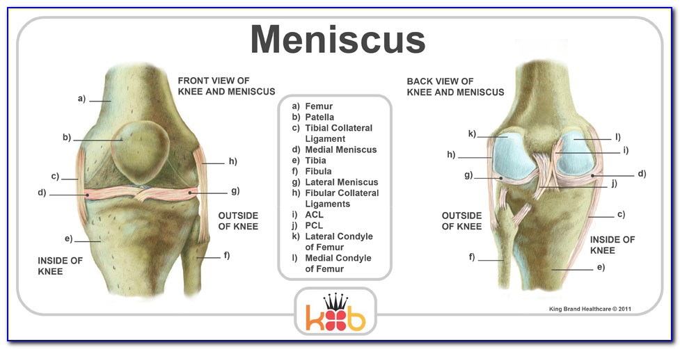 Diagram Of The Knee Torn Meniscus
