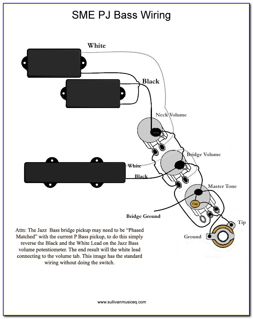 Fender P Bass Pickup Wiring Diagram