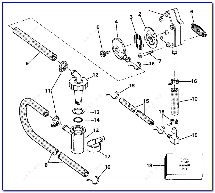 Johnson Outboard Fuel Pump Diagram