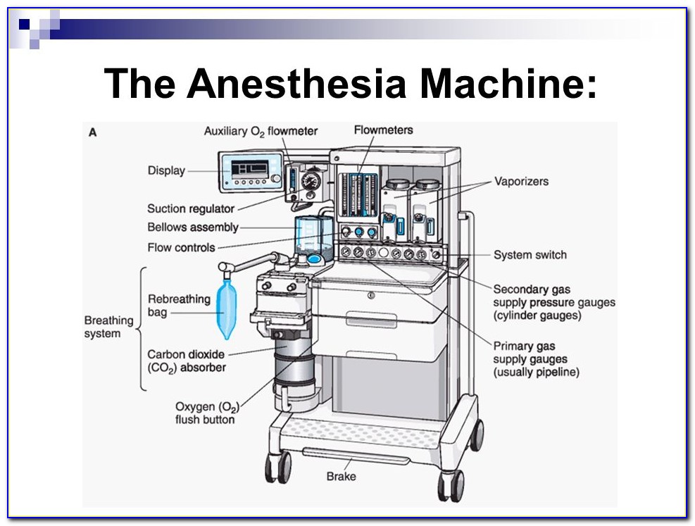 Labeled Diagram Of Veterinary Anesthesia Machine
