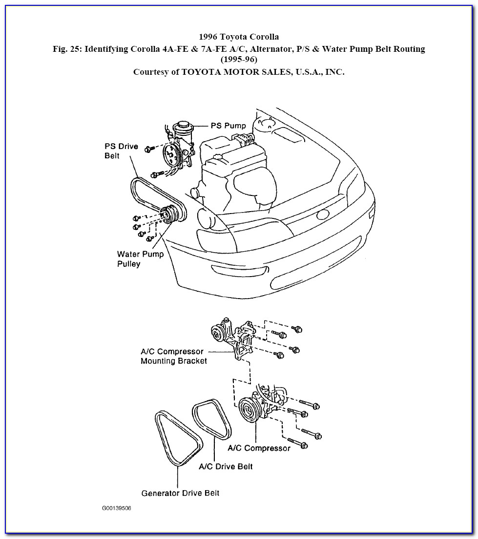 1996 Toyota Corolla Ac Belt Diagram