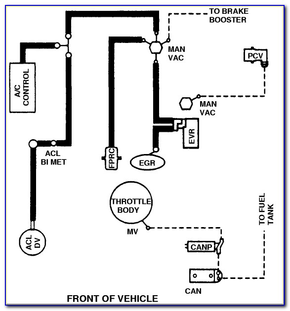 1997 Ford Ranger 4.0 Vacuum Line Diagram