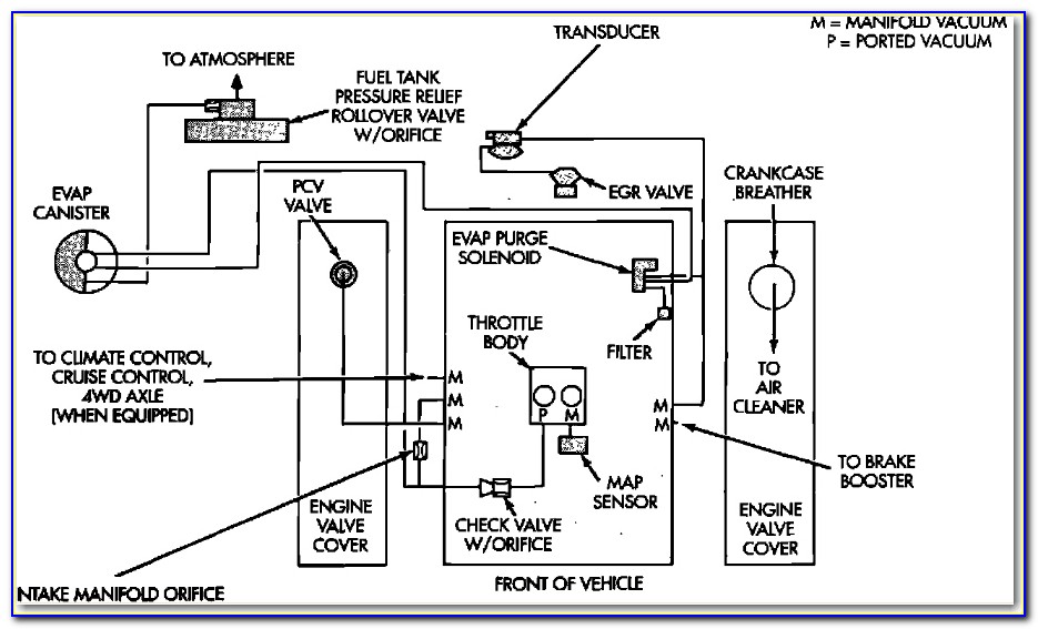 2002 Dodge Dakota 3.9 Vacuum Line Diagram