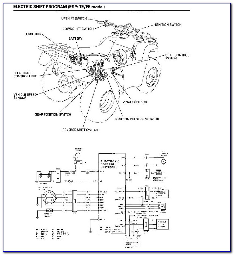 2004 Honda Rancher Wiring Diagram