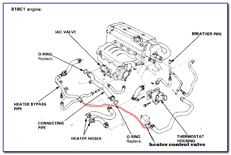 99 04 Mustang Fog Light Wiring Diagram
