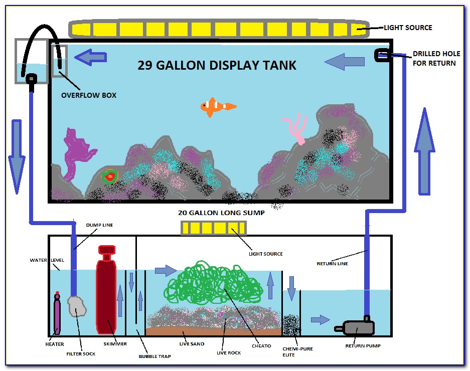 Freshwater Aquarium Sump Diagram