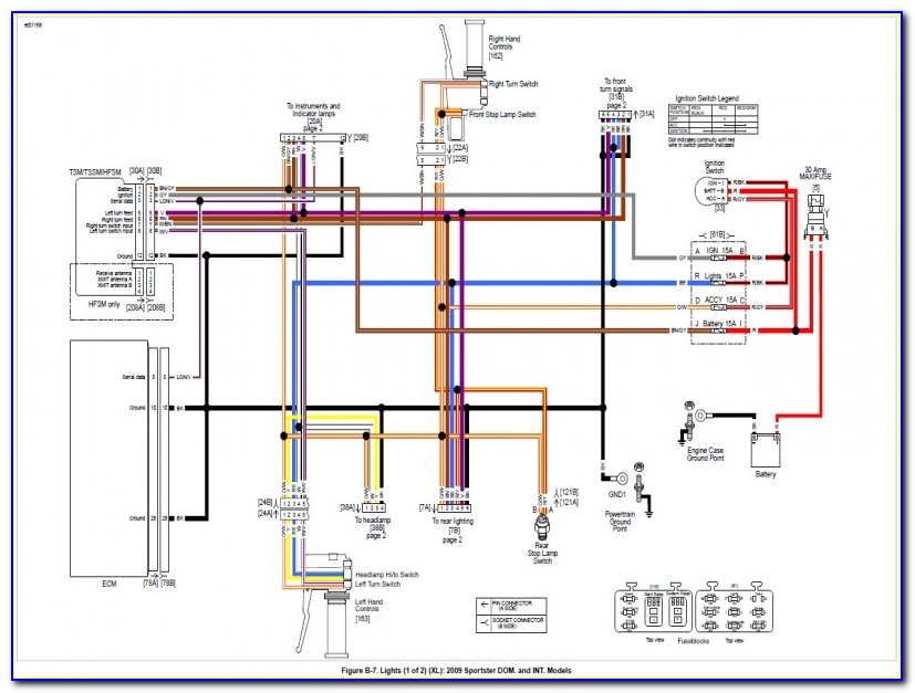 Harley Davidson Turn Signal Wiring Diagram