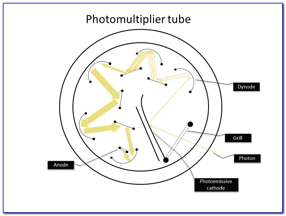 Photomultiplier Tube Diagram