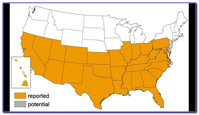 Chagas Disease Us Map