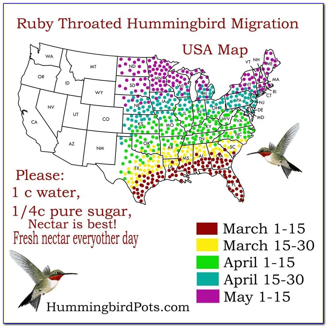 Hummingbird Fall Migration Map 2018