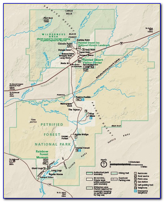 Petrified Forest National Park Trail Map