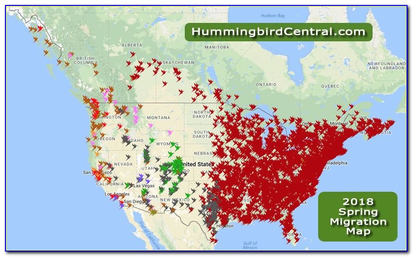 Ruby Throated Hummingbird Migration Map 2018