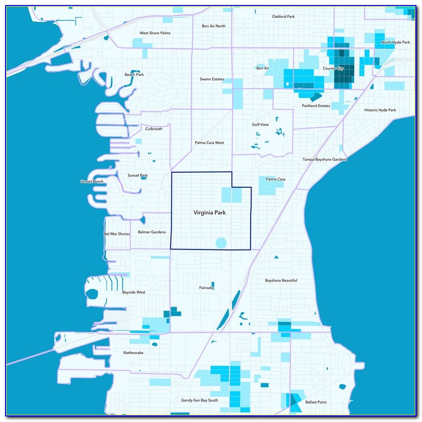 Tampa Crime Density Map