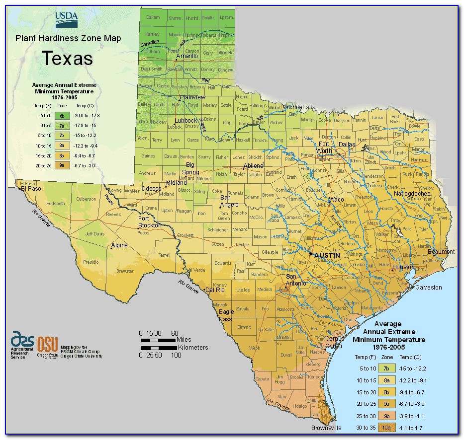 Usda Hardiness Zone Map Texas