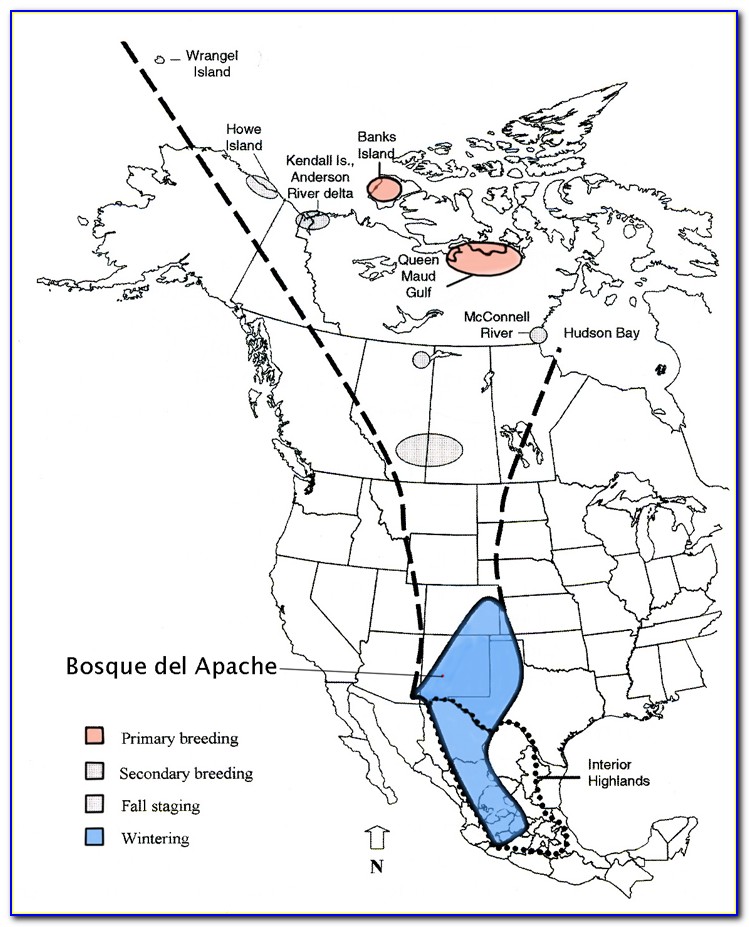 Snow Goose Migration Map South Dakota
