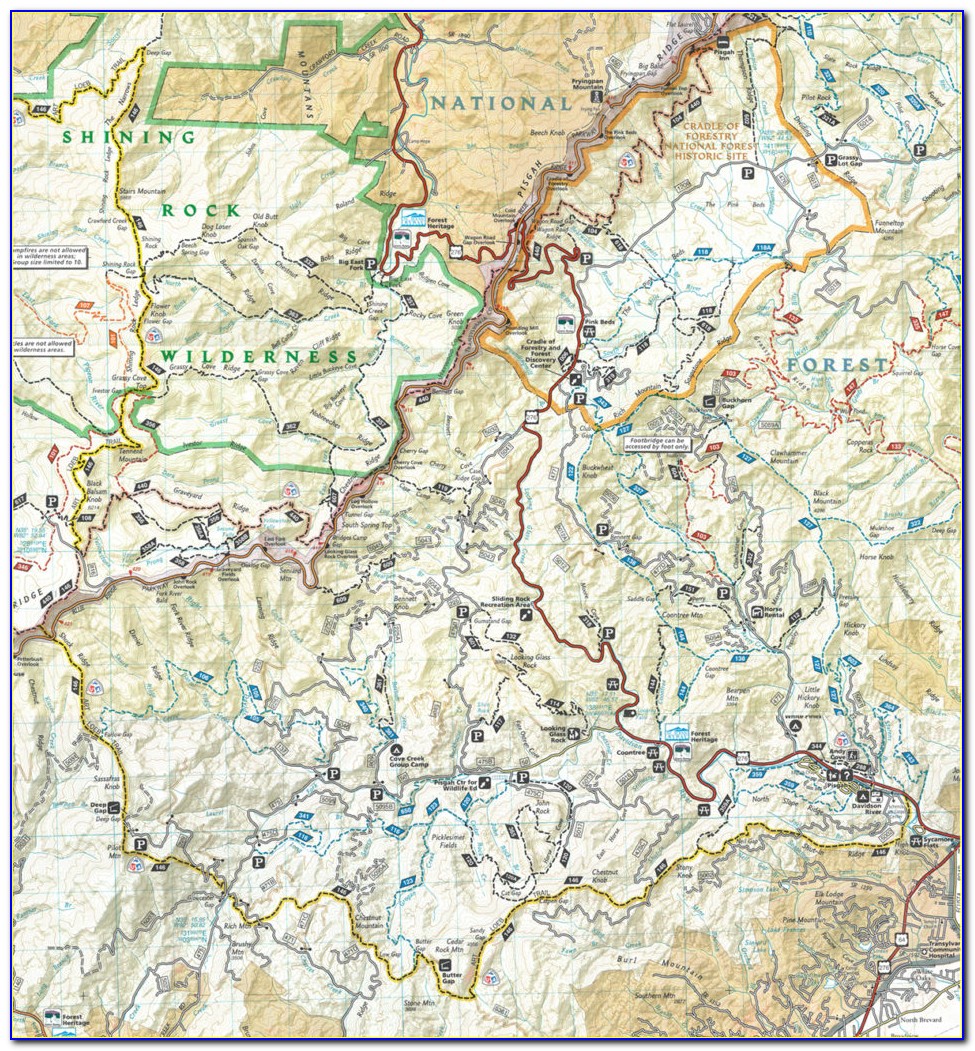 Davidson River Campsite Map
