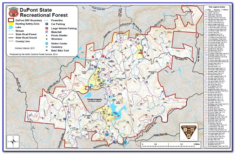 Dupont State Forest Trail Map Pdf
